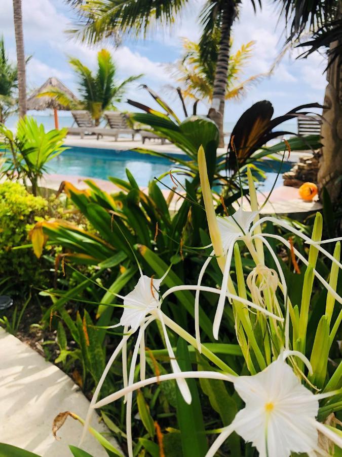 Coral Cove Inn Maya Beach Exterior foto